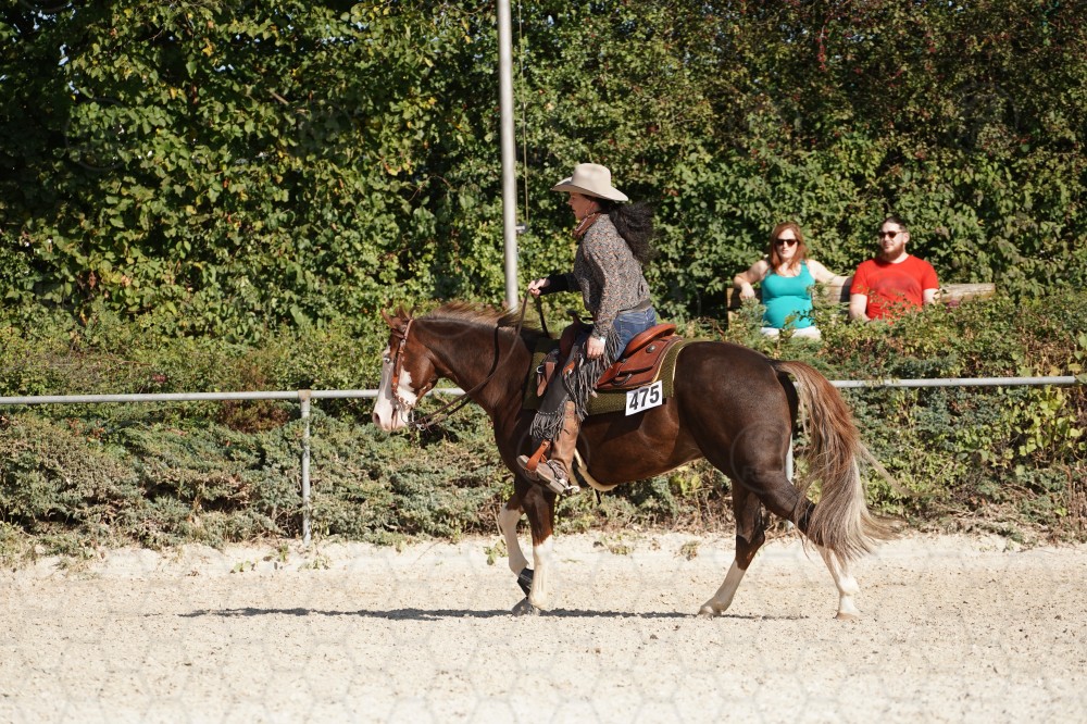 s_A_908294.JPG